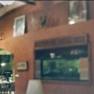 Meet your Posher, Rose